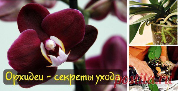 Мама в стиле FLY ✔Подпишись