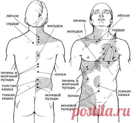 Все болезни делятся по зонам тела : 

• 1. Болезни и беспокойства, находящие в основании копчика - позвоночник, ноги, ступни, в целом все кости, связки и хрящи. А также прямая и толстая кишки. 

Если Человек теряет хорошую связь с Землей и физическим миром, посредством страхов и пренебрежительного отношения к своему физическому телу, к природе, к животным, к растениям, то возникают проблемы в этой зоне. 

• 2. Болезни и проблемы, проявленные в тазовой области, а также проб...