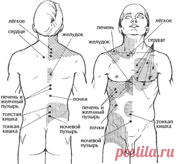 Все болезни делятся по зонам тела : 

• 1. Болезни и беспокойства, находящие в основании копчика - позвоночник, ноги, ступни, в целом все кости, связки и хрящи. А также прямая и толстая кишки. 

Если Человек теряет хорошую связь с Землей и физическим миром, посредством страхов и пренебрежительного отношения к своему физическому телу, к природе, к животным, к растениям, то возникают проблемы в этой зоне. 

• 2. Болезни и проблемы, проявленные в тазовой области, а также проб...