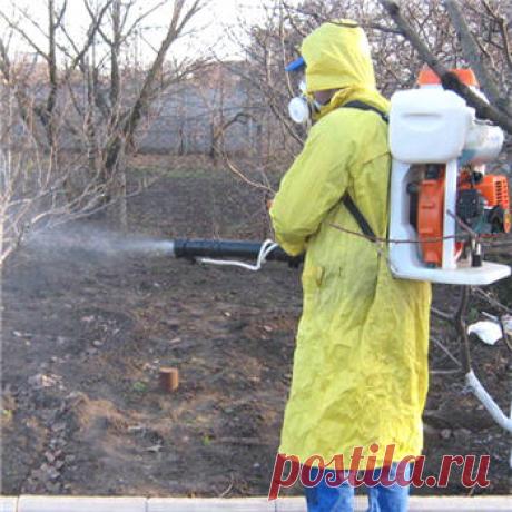 Весенняя обработка сада Приготовление  бордосской смеси, медного купороса, железного купороса...