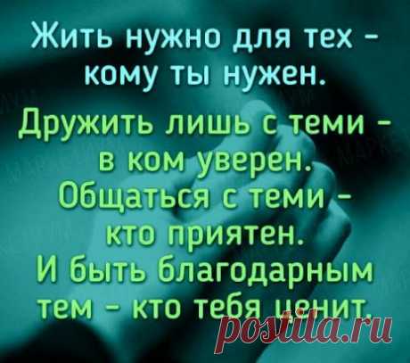 (3) Одноклассники