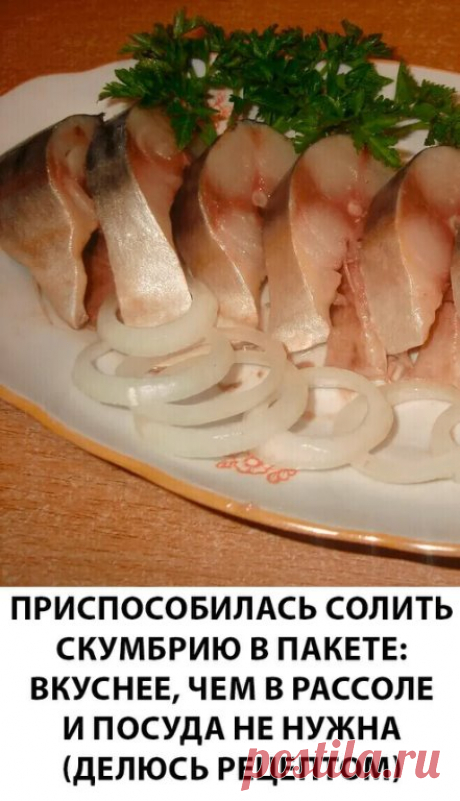 Не успеваю скумбрию покупать — сколько ни засолю, все мало. Обожаю соленую скумбрию! Я ее солю разными способами — и сухим посолом, и в рассоле. Но недавно нашла новый способ — в пакете, и вот он мне больше всего нравится теперь. Это очень удобно — сложил все в пакет и пусть солится — и посуду пачкать не надо....ПОКАЗАТЬ ПОЛНОСТЬЮ