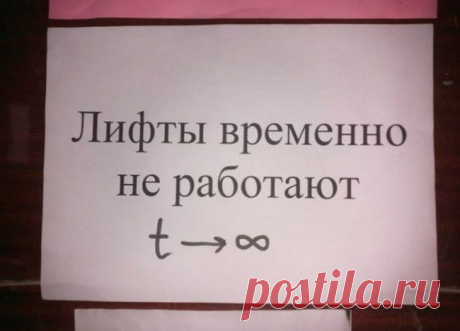 О чем шутят ученые