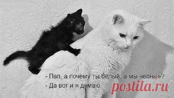 シシシПРИКОЛьнисьシシシ
николай романов