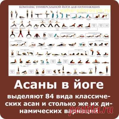 Экскурс в историю асан в йоге | Быть здоровым легко!