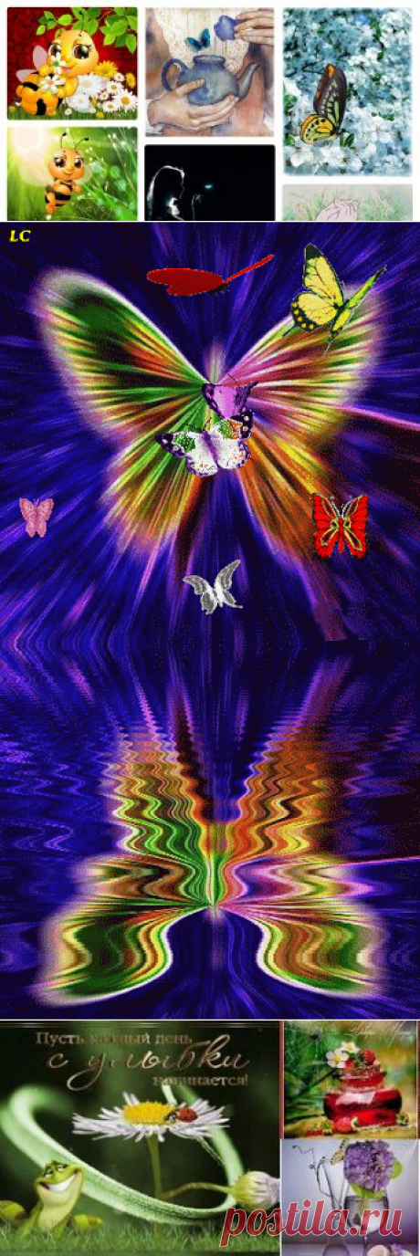 46 карточек в коллекции «Бабочки, божьи коровки, пчелы и др.» пользователя Наталья К. в Яндекс.Коллекциях