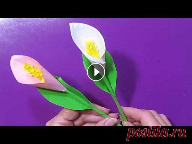 Цветы Из Бумаги Каллы Лилии. DIY ПОЛЕЗНЫЕ СОВЕТЫ ХОЗЯЙКАМ Цветы Из Бумаги Каллы Лилии DIY ПОЛЕЗНЫЕ СОВЕТЫ ХОЗЯЙКАМ Моя жизнь, творчество, вдохновение.... Дорогие и прекрасные мои зрители, буду очень рада друж...