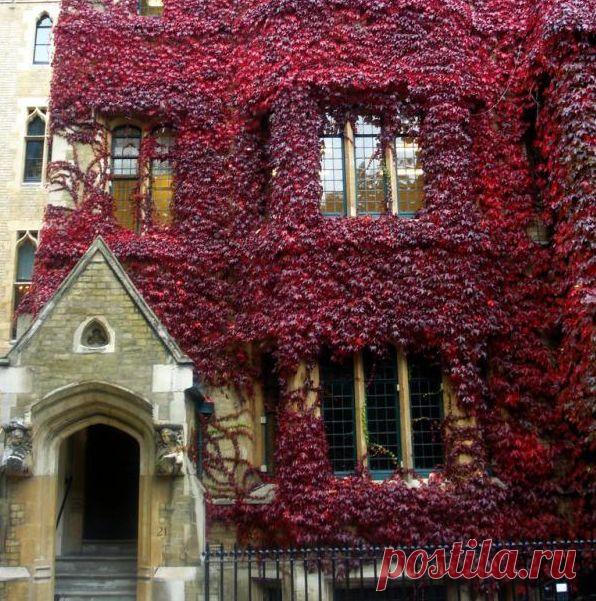 Самые красивые места России - 10 самых красивых городов России. | Полезные советы