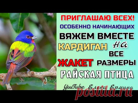 🔥Подробный попетельный мастер класс ВЯЖЕМ жакет, кардиган крючком на 👉 ВСЕ РАЗМЕРЫ: РАЙСКАЯ ПТИЦА