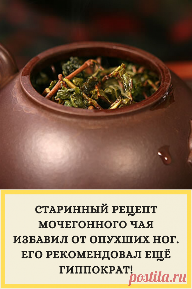 СТАРИННЫЙ РЕЦЕПТ МОЧЕГОННОГО ЧАЯ ИЗБАВИЛ ОТ ОПУХШИХ НОГ. ЕГО РЕКОМЕНДОВАЛ ЕЩЁ ГИППОКРАТ!