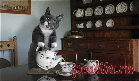Фотографии на стене сообщества | 28 258 фотографий