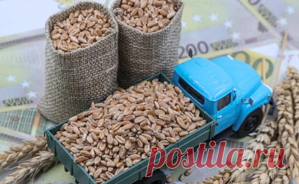 26-7-23-«Помощь голодной АФРИКЕ» – чистый бизнес и немного пиара - Свободная Пресса