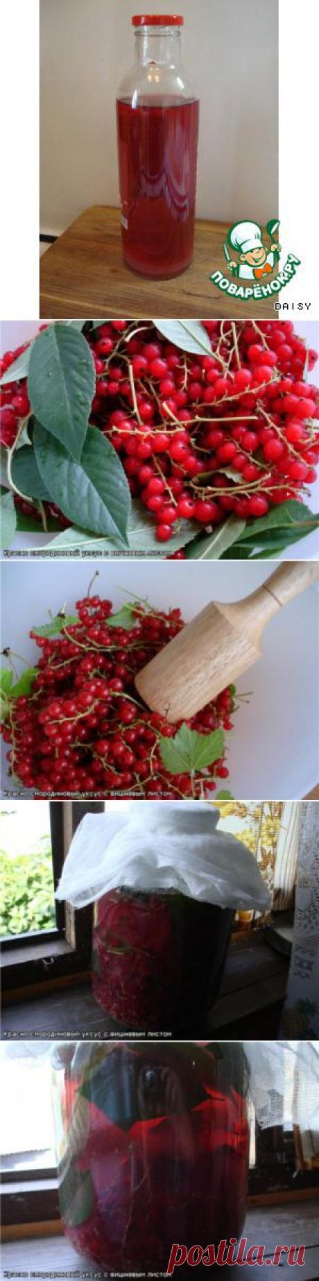 Уксус из красной смородины