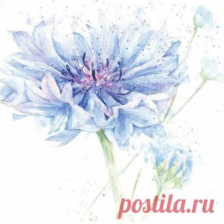 Нежно-воздушные акварельные цветы Rose Eddington