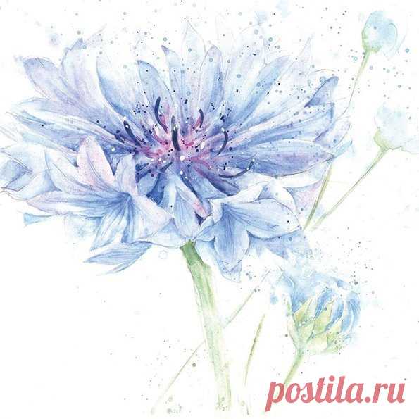 Нежно-воздушные акварельные цветы Rose Eddington