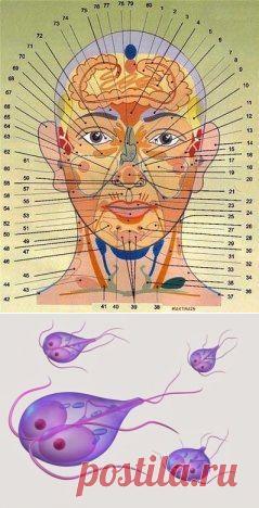 Одноклассники
