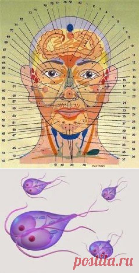 Одноклассники