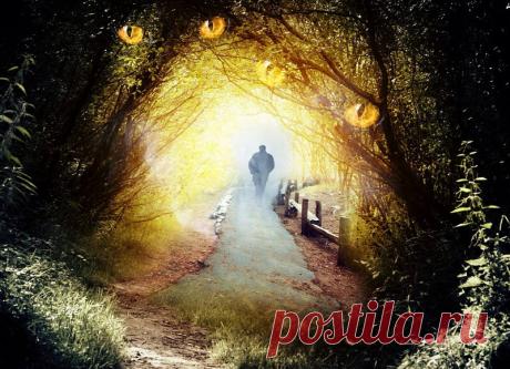 Один сторожил, рассказал помимо прочего, что в глубине парковой рощи находился священный славянский камень к которому приходили с просьбами и поклонялись люди. И дабы прекратить это безобразие при советской власти его убрали.
Видимо это и было место священного камня, где произошла со мной эта мистическая и необъяснимая история