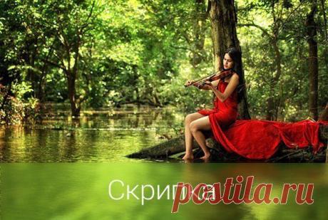 Анна Модло | ВКонтакте