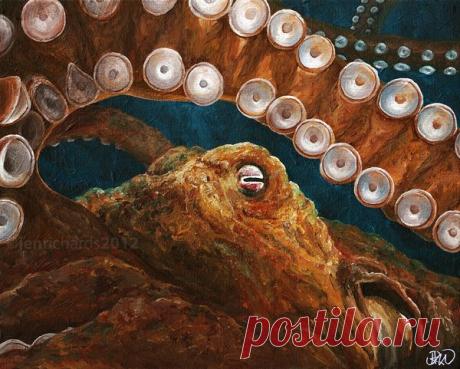 The Marine Life Art of Jen Richards. Осьминожка.