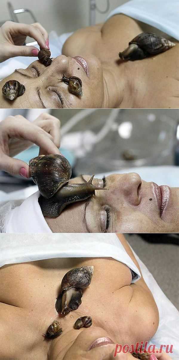 Улиткотерапия, или экзотическая косметология.
Моллюски - пища красивых, здоровых и долгоживущих...