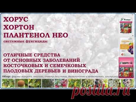 Хорус, Плантенол Нео и Хортон - отличные средства от болезней плодовых деревьев и винограда. Обзор