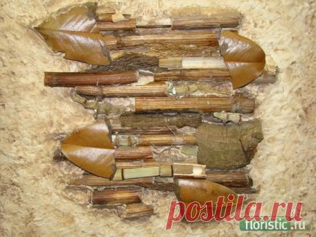 Коллажи и декоративные панно - Страница 5 - Флористика: популярный флористический форум