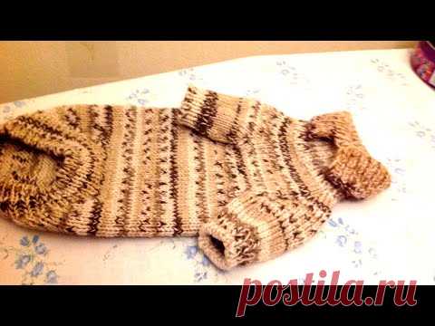 Вязаный свитер для сфинкса или маленькой собачки,часть2