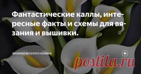 Фантастические каллы, интересные факты и схемы для вязания и вышивки. Статья автора «Вязалки Веселого Хомяка» в Дзене ✍: Вы когда-нибудь задумывались о том, чтобы вывести свое вязание на новый уровень?