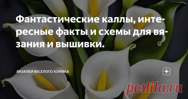 Фантастические каллы, интересные факты и схемы для вязания и вышивки. Статья автора «Вязалки Веселого Хомяка» в Дзене ✍: Вы когда-нибудь задумывались о том, чтобы вывести свое вязание на новый уровень?