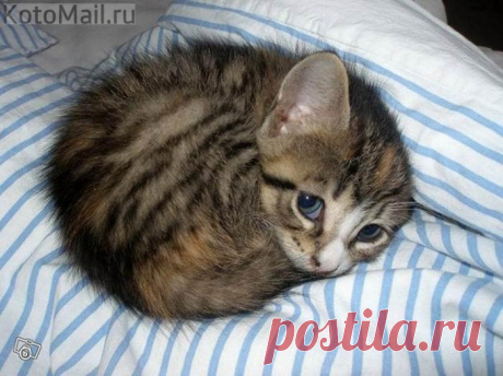 Я самый лучший!