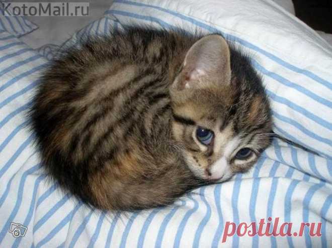 Я самый лучший!