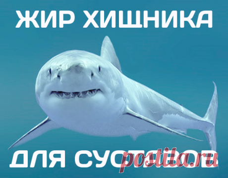 Основой этого крема является жир акул. Жир - способствует активному заживлению тканей, активирует обменные процессы. Глюкозамин - восстанавливает и укрепляет суставы при артрите и артрозах. Хондроитин - стимулирует выработку гиалуроновой кислоты, которая отвечает за здоровье хрящей. Камфара - снимает воспаления и боль при обострениях болезней суставов, хрящей и связок. Средство нужно мазать 1 раз в день.Через 4 дня артрит отступит! Боли в суставах уйдут, и они снова станут гибкими!