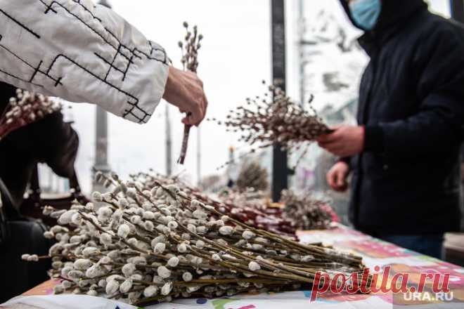 Вербная неделя в 2024 году по дням: что нельзя делать, запреты, обычаи, что можно, традиции