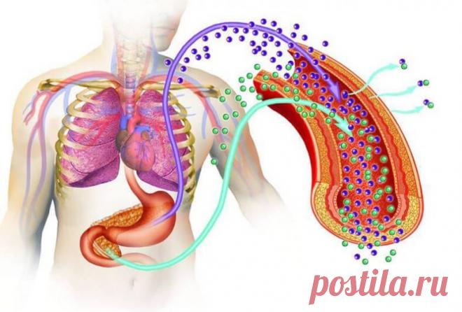 Как распознать и остановить преддиабет / Будьте здоровы