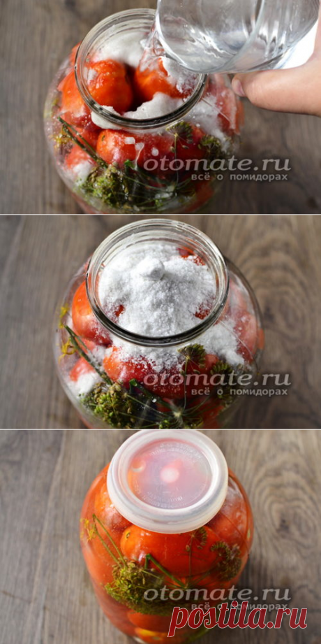 Квашеные помидоры в банках как бочковые: холодный засол