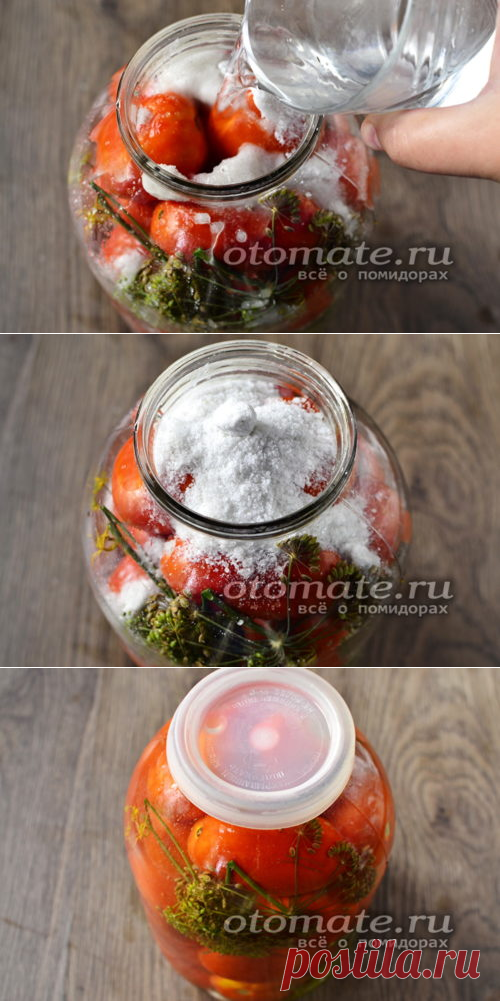 Квашеные помидоры в банках как бочковые: холодный засол