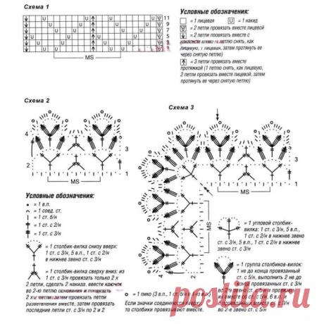 LACE JACKET WITH LACE PLANCES DECORATED WITH FLOWER