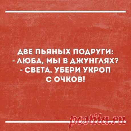 (1) Хамка - Home