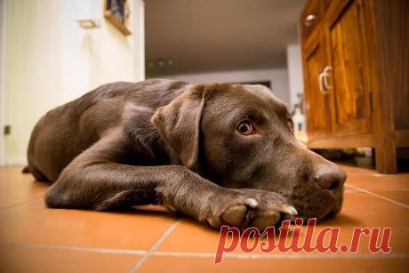 500px / Oh, taking photos again? by AAARGGH