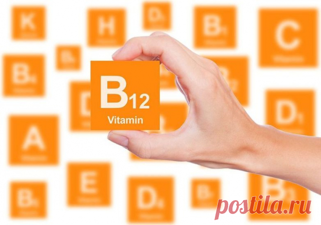 B12 нужен каждой клетки организма Практически все знают, что очень важно получать витамины в нужном количестве.
