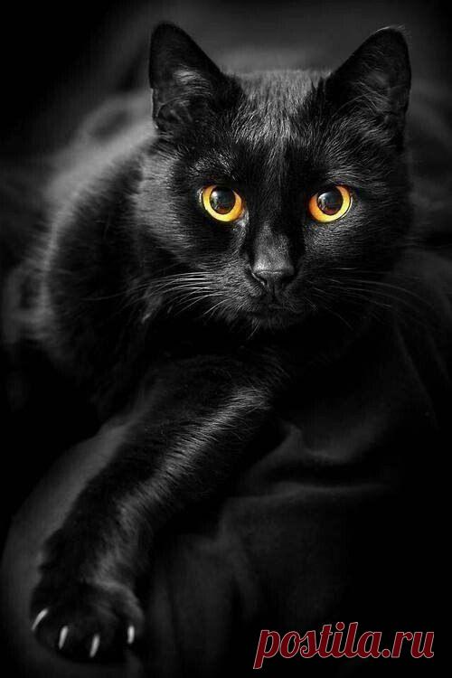 Слушать радио онлайн бесплатно на Зайцев FM