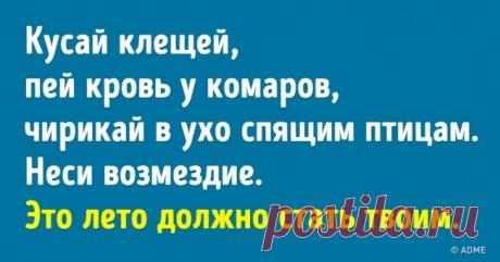 16 открыток для тех, кто послал к черту все эти правила | Чёрт побери В этом мире мы все загнаны в рамки определенных правил и ограничений, но как иногда хочется плюнуть на все и жить вопреки всем условностям. Chert-poberi.ru собрал 16 слегка абсурдных, но очень забавных открыток от людей, которые послали к черту все эти правила.