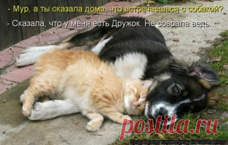 Без слов