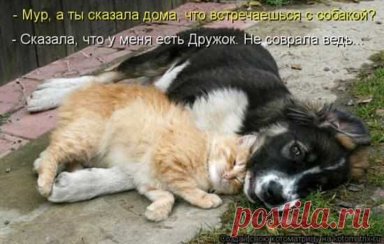 Без слов