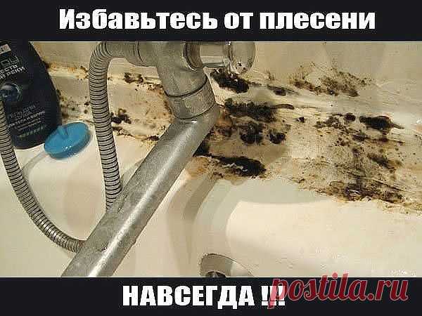 (49) Одноклассники