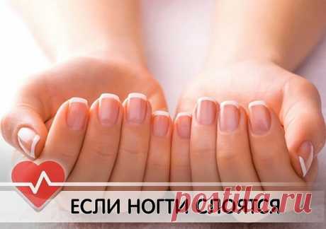 ЕСЛИ НОГТИ СЛОЯТСЯ.

Каких витаминов не хватает при той или иной проблеме?

 Если ногти сухие и ломкие, с утолщениями у краев ногтевой пластины, то причиной стала нехватка витаминов А, Е, а также кальция, йода и магния. Восполнить недостаток витаминов можно, употребляя в пищу печень, рыбий жир, орехи, бобовые, растительное масло. Кальция много в молочных продуктах, а также в брокколи, шпинате, источником йода являются все морепродукты. Магния много в семечках, крупах, бобо...