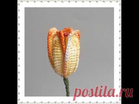 TULIP