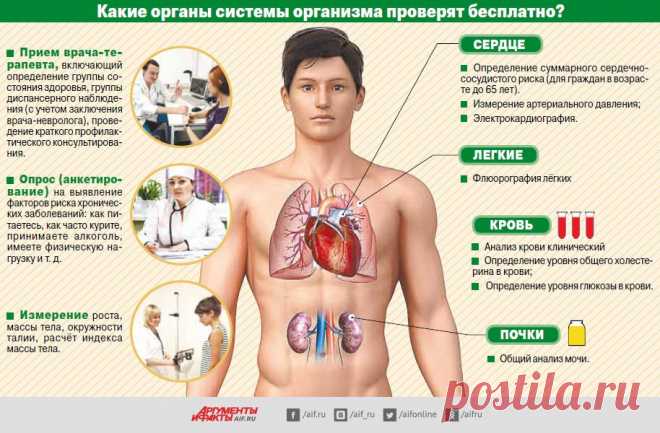 Вылечат за госсчёт. Как бесплатно пройти обследования? | Инфографика | Аргументы и Факты