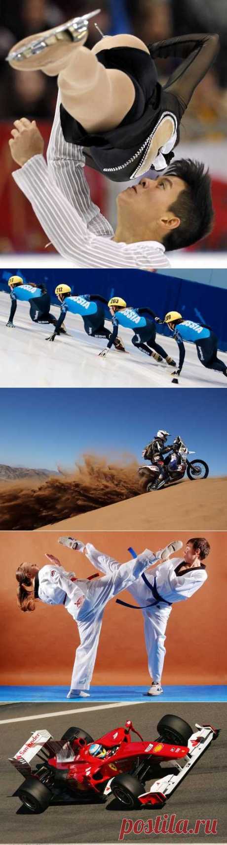 Новус, Мотоциклетный спорт, Плавание, Парашютный спорт, Гиревой спорт. (1/1) - Спортивный форум. - Спортивный сайт